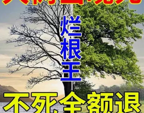 杀大树药专用药除树剂杀参天大树杀竹子烂根，...