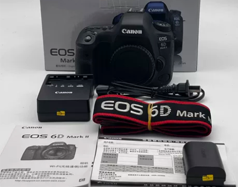 佳能 EOS 6D Mark II 正常使...