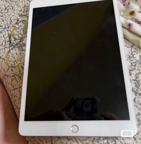 自买的ipad7 2019款 128g 京...
