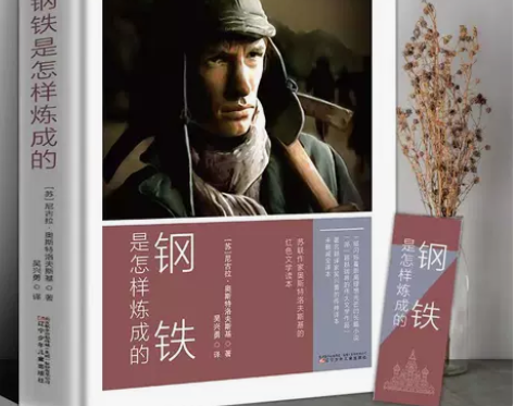 完整版赠考点】钢铁是怎样炼成的 全译本 初...