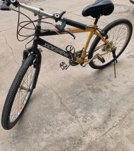 喜德盛自行车，车带座椅都是新换的，质量很好...