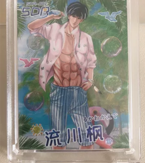 摩卡 灌篮高手  SDR夏日系列  流川枫...