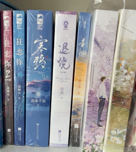 出言情小说青春文学未拆新的 有购买记录 感...