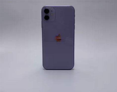 8成新【特价】 苹果 iPhone 11 ...