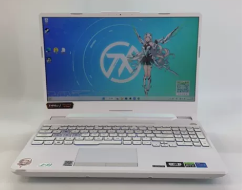 95新华硕飞行堡垒8 FX506笔记本电脑...