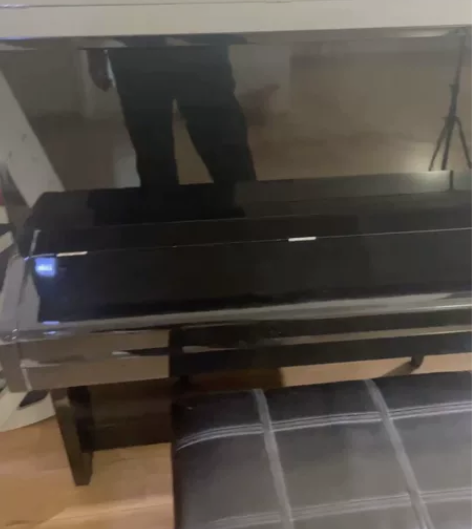 闲置钢琴一架，琴凳一个 感兴趣的话点“我想...