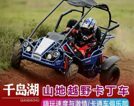 千岛湖山地汽摩越野卡丁车门票 单人/双人车...