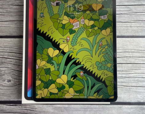 95新2021款iPad pro5代 12...