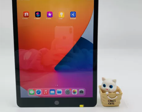 95新【插卡+WiFi】苹果 iPad 8...