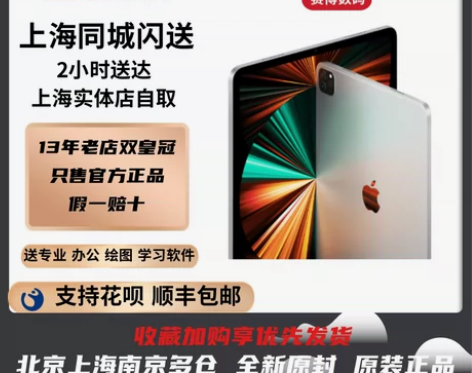 2021新款Apple/苹果 iPad P...