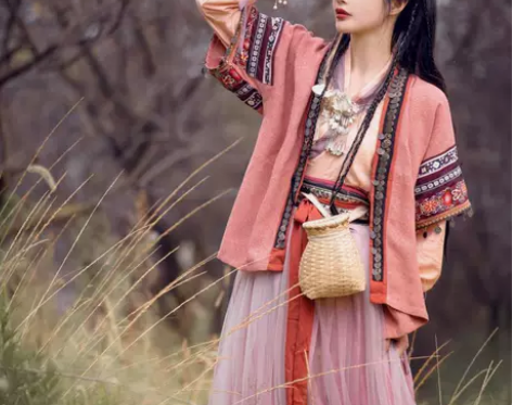司南阁原创【念奴】汉服女款宋制半袖褶裙苗疆...