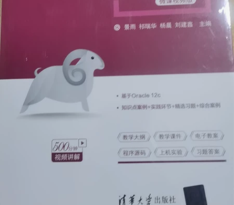 计算机专业用书，Oracle数据库从入门到...