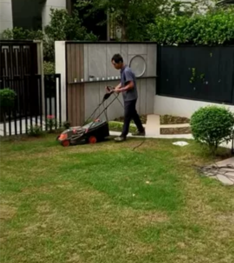 本人从事庭院别墅工作，园林养护，鱼池装景观...