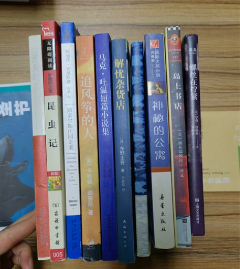 尘埃星球 昆虫记 斯泰尔斯庄园奇案 追风筝...