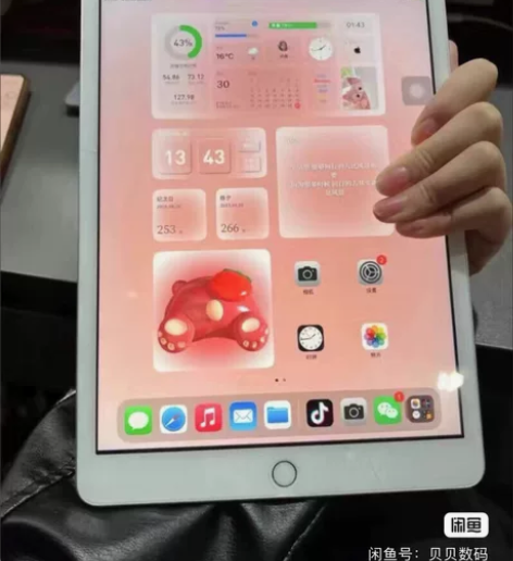 iPad 2019款 128gwifi  ...