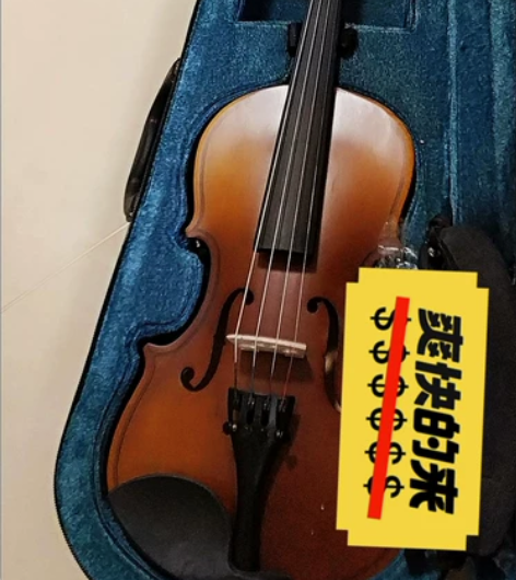 【全新清仓处理】手工实木小提琴初学考级演奏...