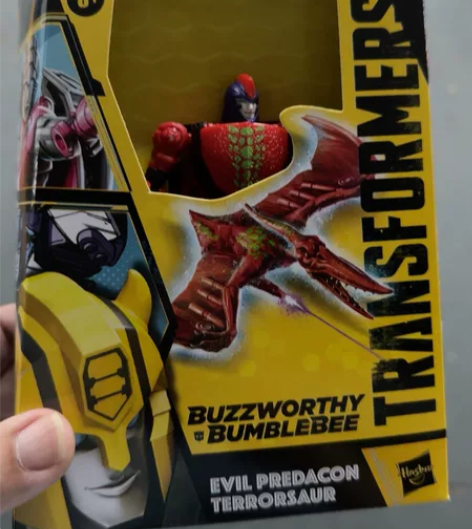 变形金刚 BB系列 限定D级蛇鸟勇士 传世...