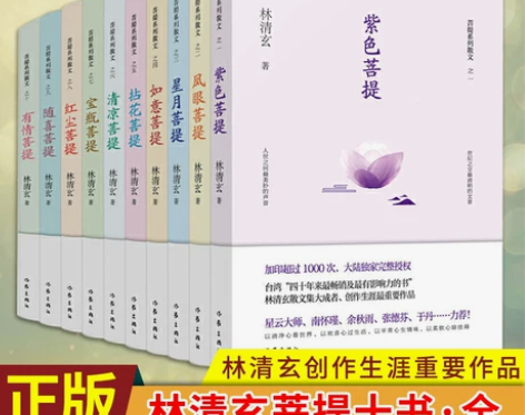 散文现货正版 林清玄菩提十书(全10册)林清