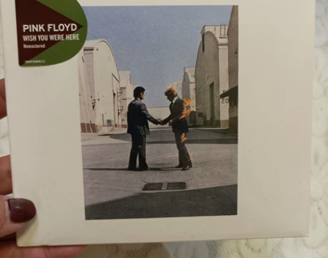 平克·弗洛伊德 Pink Floyd Wi...