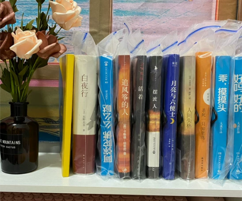 《活着》《白夜行》《追风筝的人》《摆渡人》...