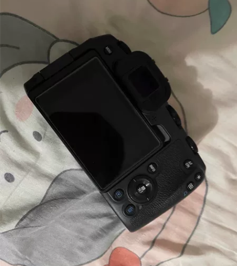 佳能eos rp +35 1.8镜头 本人...