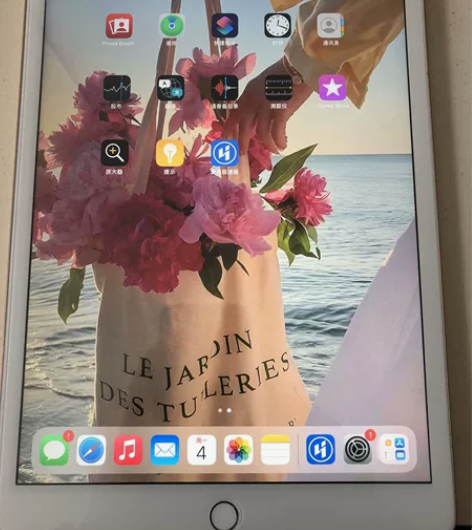 苹果平板iPad（2019）插卡+wife...