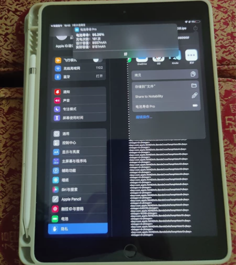 官方购入 自用ipad 2019带penc...
