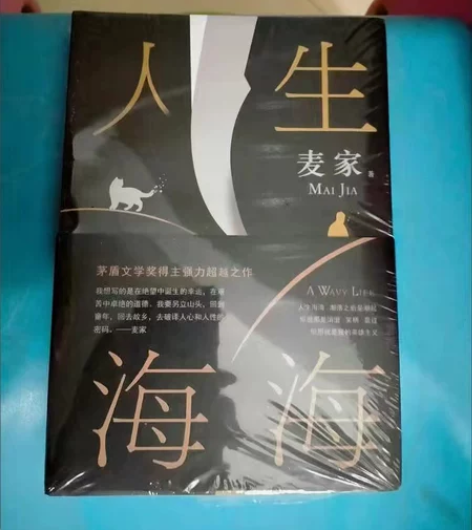 人生海海无删减麦家茅盾文学奖中国文学小说书...