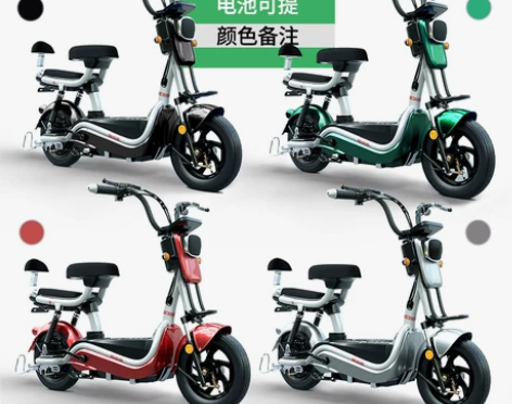 新国标电动自行车锂电池电动车长跑王电瓶车男...