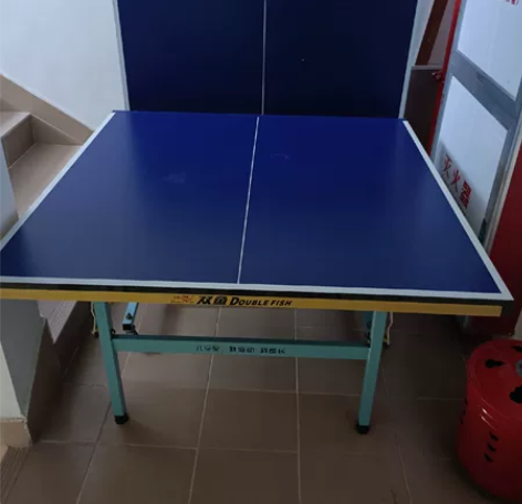 正品双鱼乒乓球桌，单块1.2米X1.1米，...