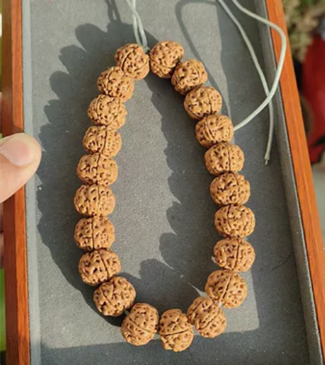 树祖小金刚菩提手持，5瓣，21颗，尺寸16...