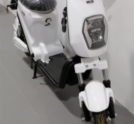 欧派电动车，锂电池48V15A，拆下充电方...