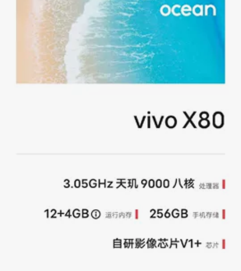 Vivo X80 天机9000八核，黑色磨...