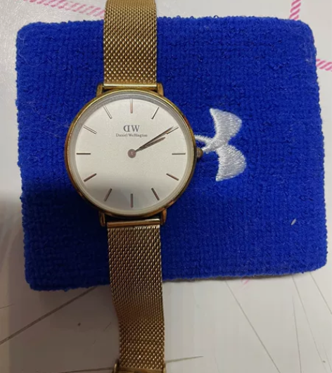 dw手表，无划痕无瑕疵，没电了换个电池就行...