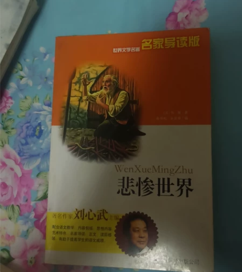 悲惨世界 感兴趣的话点“我想要”和我私聊吧...