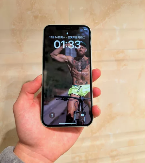 低价学生出自用苹果12，成色很新95新保护...