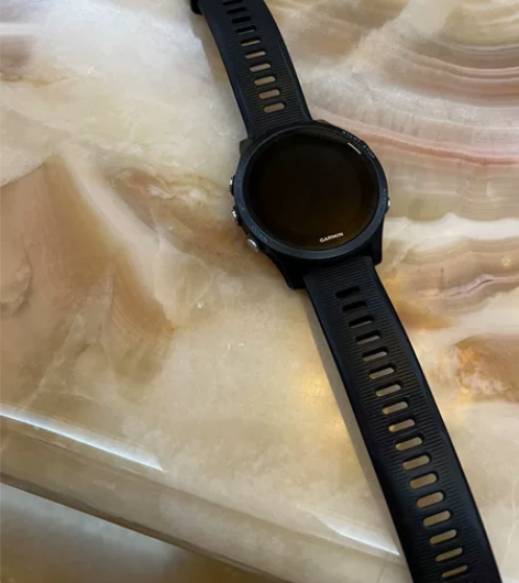 佳明（GARMIN）户外手表 Foreru...