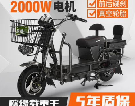 神鹰摩托车 载重王电瓶车电动车大力神爬坡电动