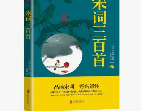 正版包邮宋词三百首原文+注释+解析双色插图...