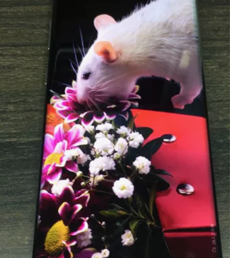 出自用三星note10+ 韩版12+518...