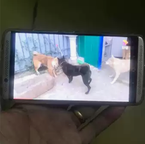 出自用中兴天机2017A  4加128G全...