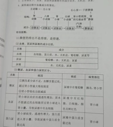 初中生物知识点集册，内含知识点，考点解读，...