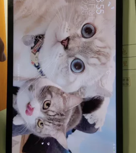 小米平板5 6+128 95新，保护的比较...