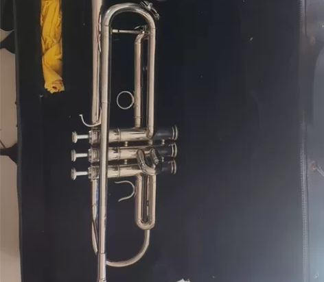 金音小号，降B调，朋友送的，根本不会吹，在...