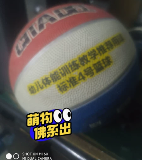 幼儿体能训练篮球，买了两个，出一个，九成新...