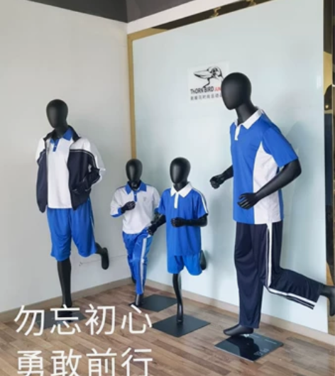 深圳抗菌速干校服（小学夏装） 荆棘鸟专业运...