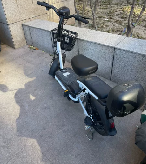 飞鸽锂电电动车 48 12的 可提可上楼充...