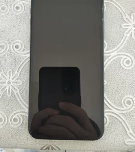 个人自用iPhone X，95新，屏幕后壳...