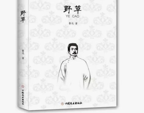 野草无删减鲁迅原著完整版先彷徨呐喊鲁迅的书...