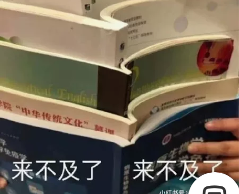 14  英文计算机辅导R语言 Java C...